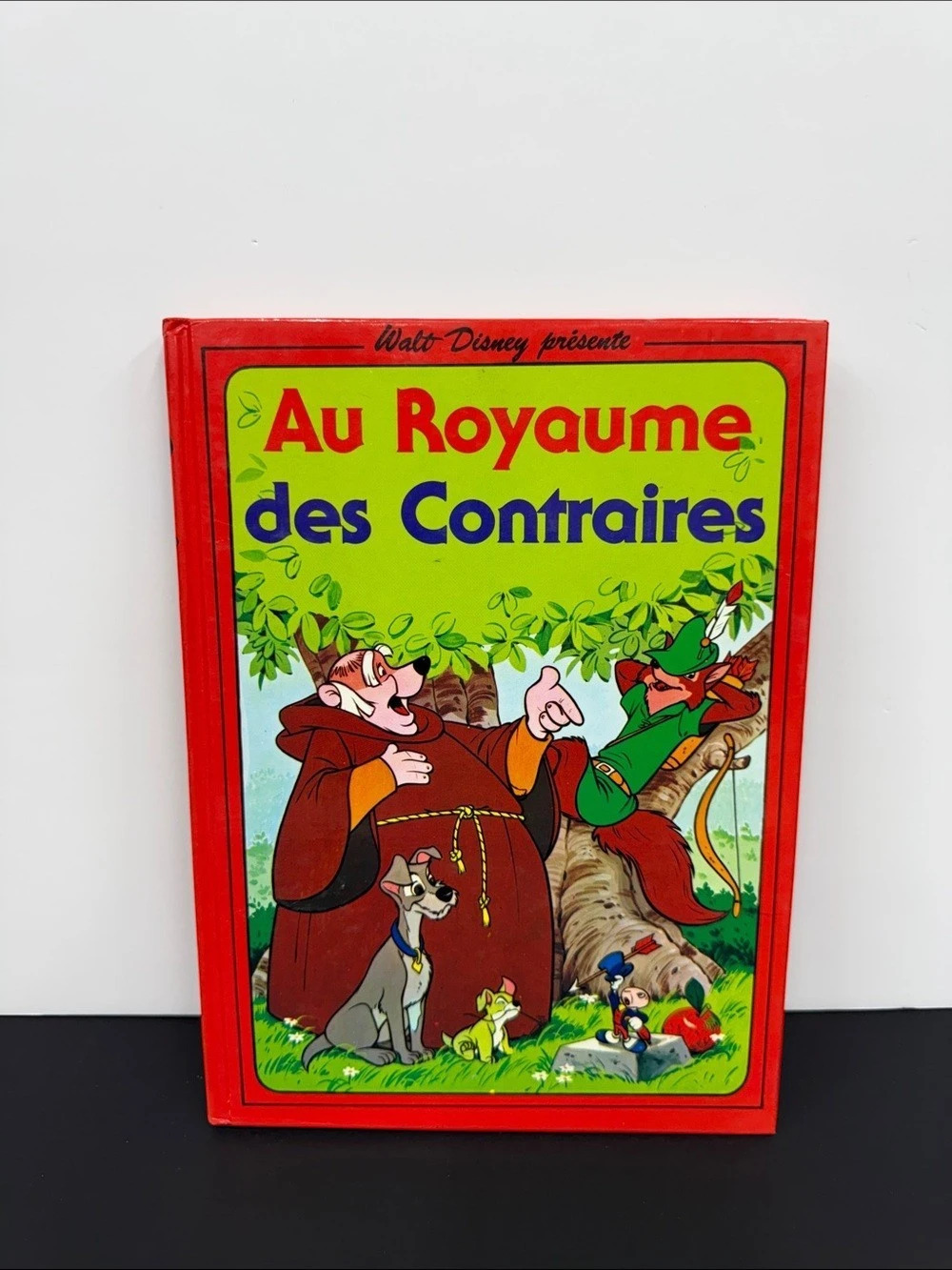 Walt Disney Au Royaume des Contraires French Illustrated Children's Book